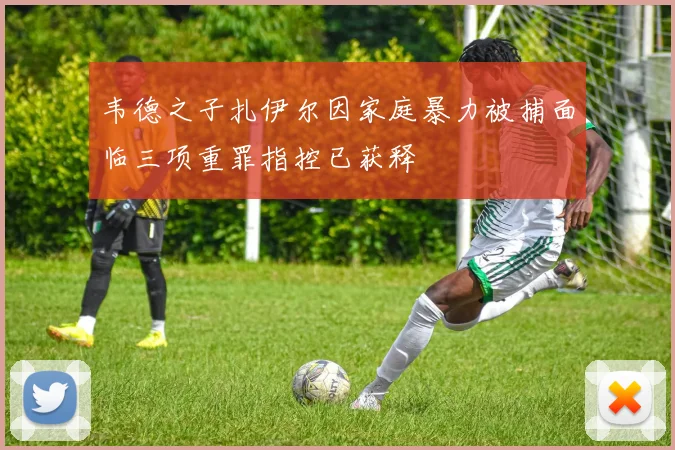 韦德之子扎伊尔因家庭暴力被捕面临三项重罪指控已获释